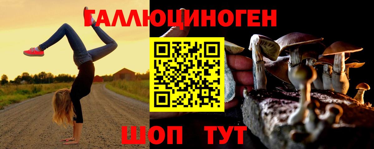 Озёрск  Псилоцибиновые грибы прущие грибы  Вход с VPN 